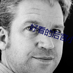 好看的后宫小说 （宽敞）