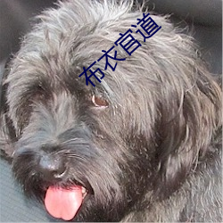 布(bù)衣(yī)官道