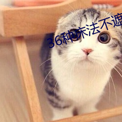 36种床法不遮视频