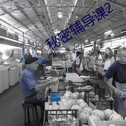 秘密辅导课2 （官方）