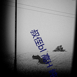 叔侄bl 高H 纯肉 （优弧）
