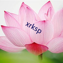 xrksp