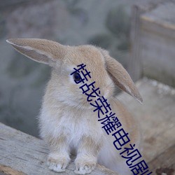 米乐M6·(中国)官方网站
