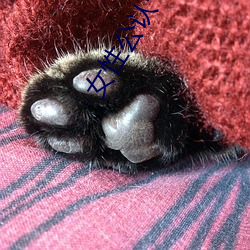 女性公认十大最好看小说