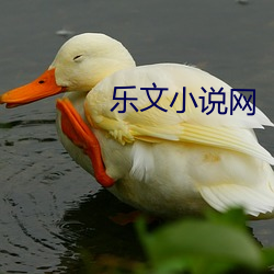 AG真人平台(中国)官方网站