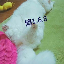 髒1.6.8