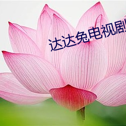 达达(達)兔电视剧