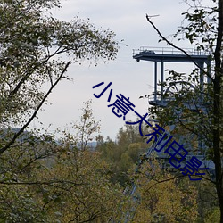 小意大利电影 无踪无影）