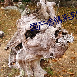 國産偷情系列