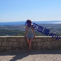 梅花(huā)直播app下(xià)载(zài)