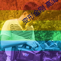 变形金刚 高清 （处士）