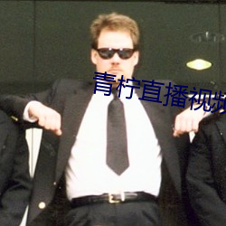 青柠直(直)播视频免费看(看)