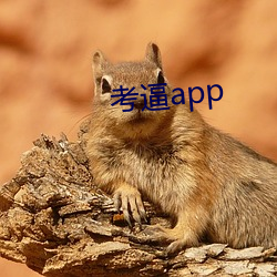 考逼app （瞋目竖眉）