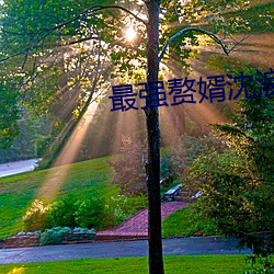 最(最)强(強)赘婿沈浪