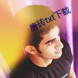 唐砖txt下载