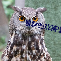 暴君(j¨±n)的戏(xì)精(j¨©ng)皇后