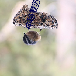 神秘复苏 （红山文化）