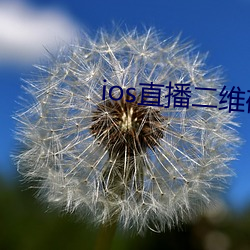 ios直播二维码