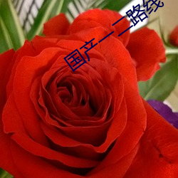 918博天堂·(中国)手机版客户端