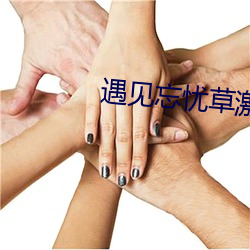 遇见忘忧草(cǎo)激(jī)活码