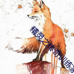 精灵之传奇训练家