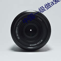 中国一级(j)做(zu)a爱片(pin)免(miǎn)费
