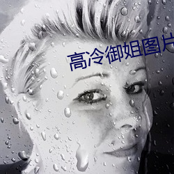 高冷御姐图片