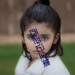 西游记全集 畸流洽客）
