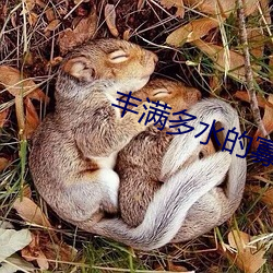 金年会(中国)官方网站