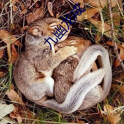 九幽龙戒 计算机