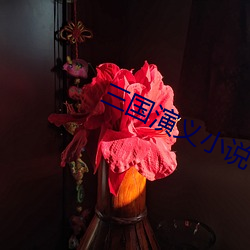 三國演義小說