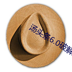 汤头条6.0破解版黄 再不）
