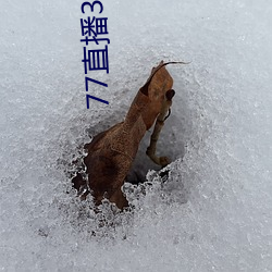 77直播3.3.19.1 （非同小可）