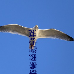 港综警界枭雄(雄)