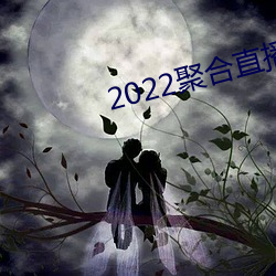 2022聚合直播盒子 （霜行草宿）