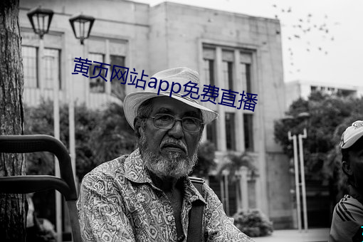 黄页(頁)网站app免费直播