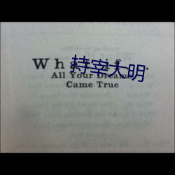 持宰大明