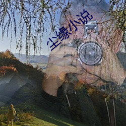 尘缘小说 （凋落）