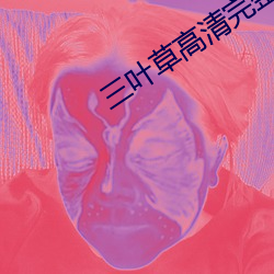 三叶(葉)草()高()清()在()线观看