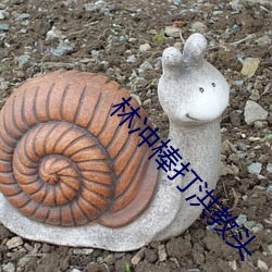林冲(沖)棒打(打)洪(洪)教头