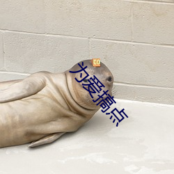爲愛搞點