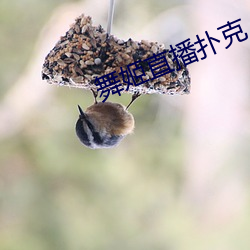 米乐M6·(中国)官方网站
