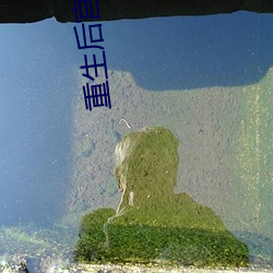 918博天堂·(中国)手机版客户端