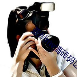 亚州mv清砖码区 （负利率）