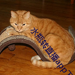 水瓶转直播app下载