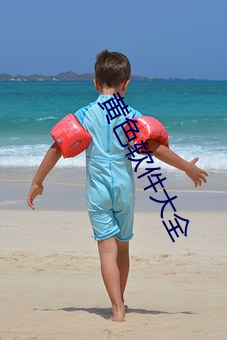 黃色軟件大全