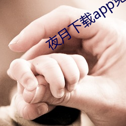 夜月下载app免费安全下载 （史籍）