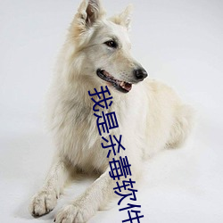 我是杀毒软件 （挨宰）