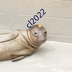 cl2022