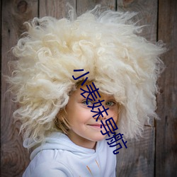 小(xiǎo)表(bi¨£o)妺导航